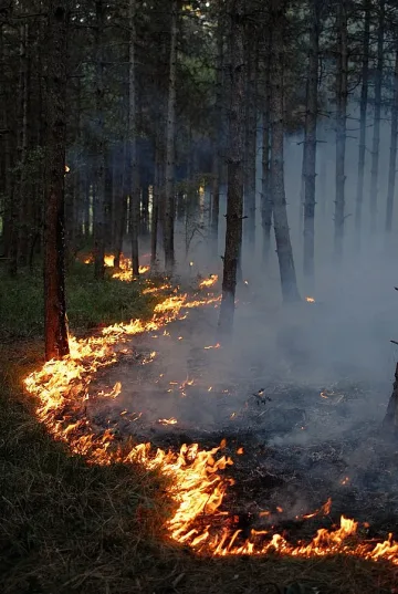 Пожар вилня край границата с Македония