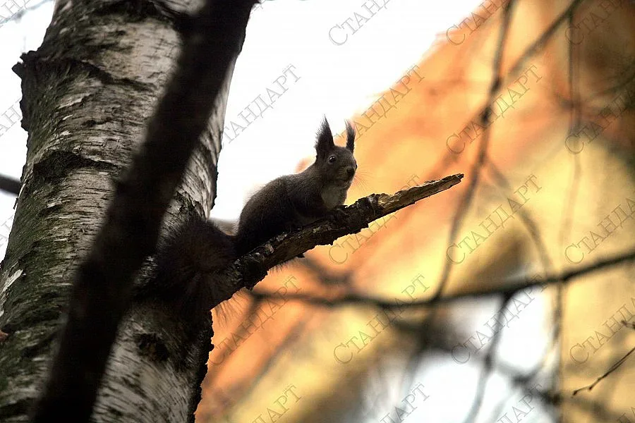 Пореден ден с високи температури