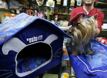 Сочи иска и лятна олимпиада