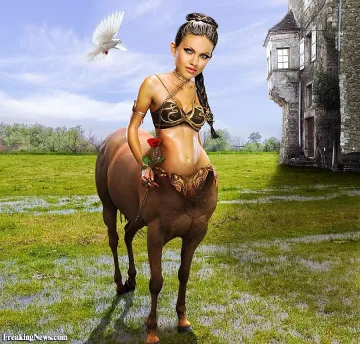 2014 под знака на Купидон  