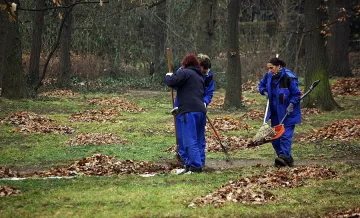 Търсят акробати, танцьори и дърводелци за работа в Европа