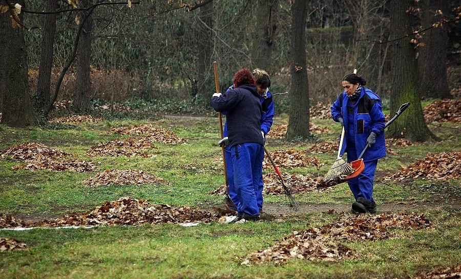 Търсят акробати, танцьори и дърводелци за работа в Европа