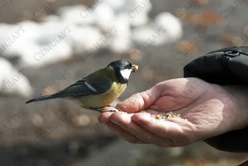 Топло и слънчево в неделя