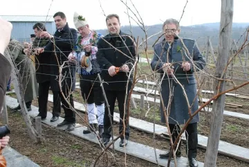 Търновският кмет прави вино по семейна рецепта