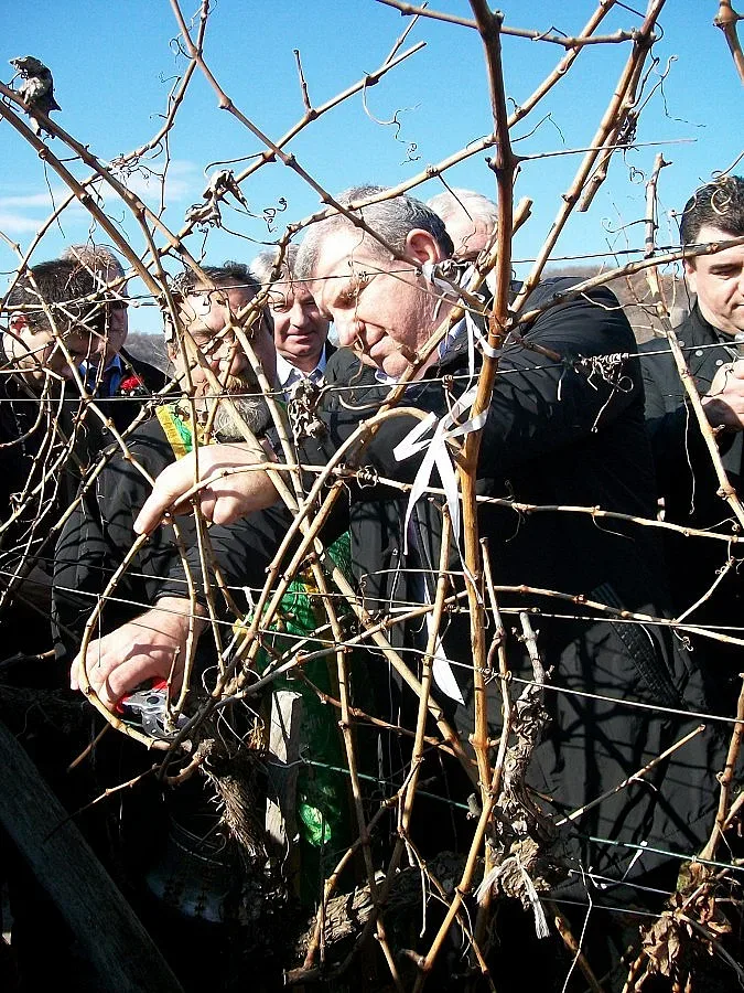 Китай пита за гъмза и широка мелнишка лоза