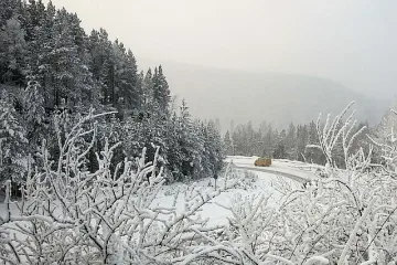 Сибир ни кани на балнеоваканции