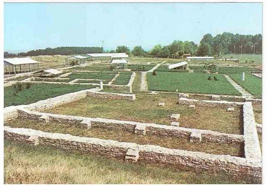 Антична изложба доказва култа към виното