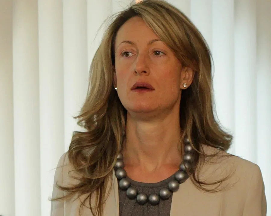 Златанова събира критиците на новия НК