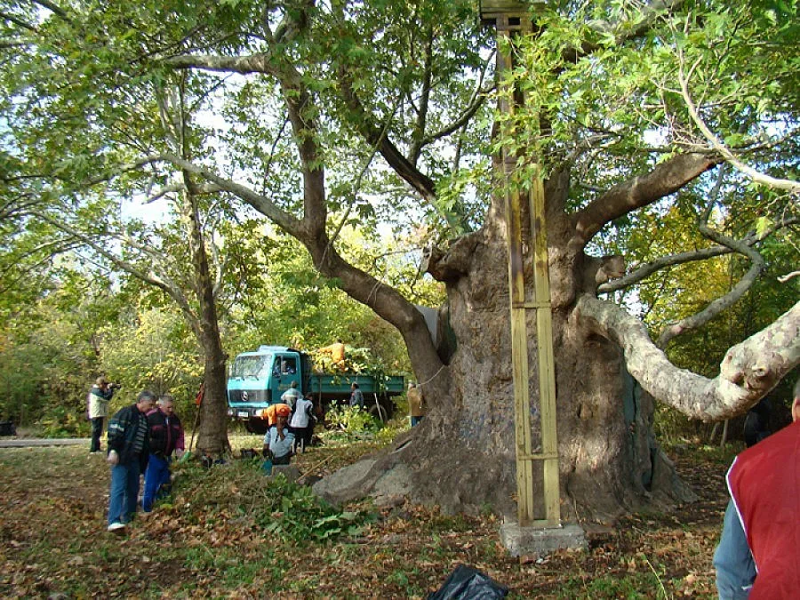 Култови обекти търсят „Място в сърцето”