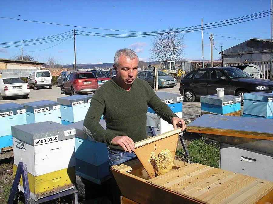 С медовина почетоха празника си пчелари