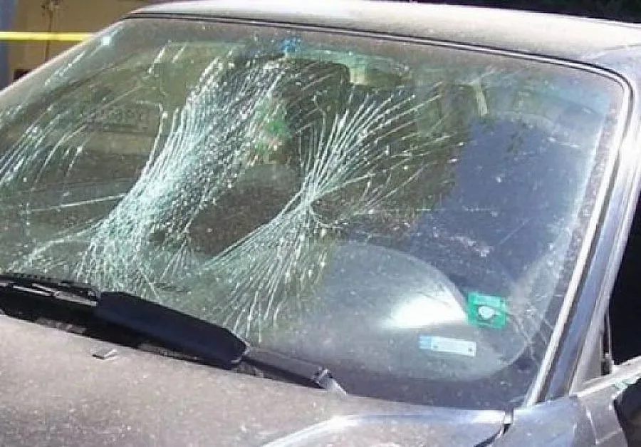 Потрошиха БМВ на бизнесдама