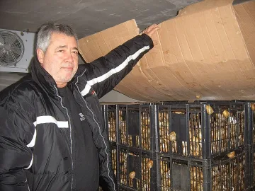 Ако се работи почтено, за 5 г. ще минем Швейцария