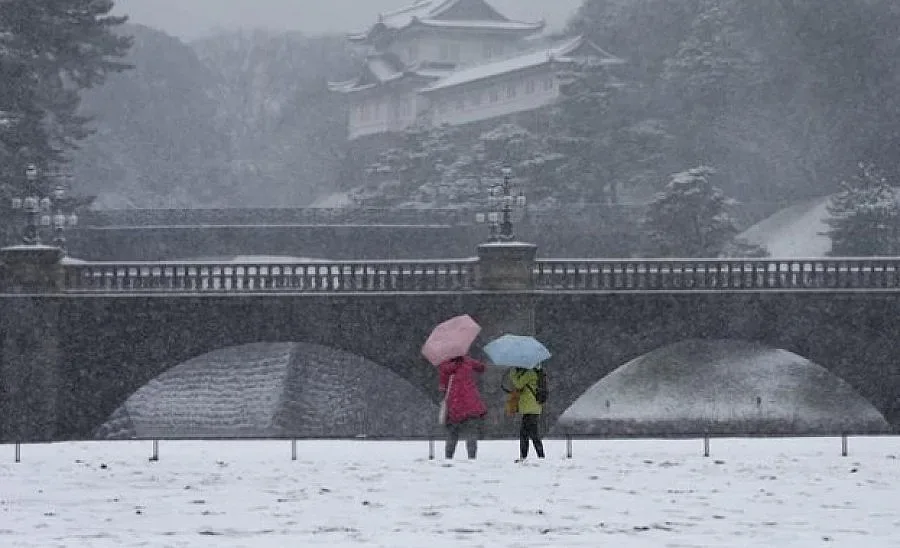 Силна снежна буря скова Япония