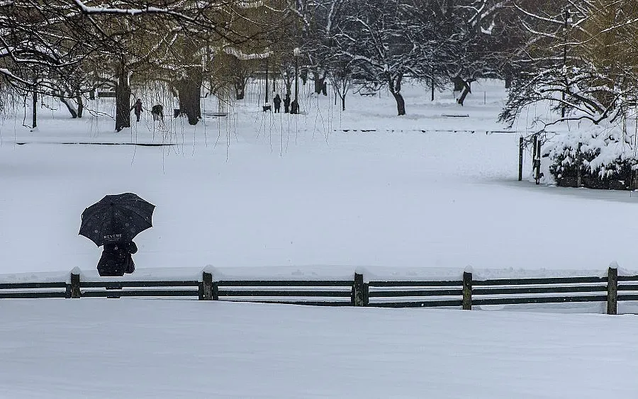 Нова снежна буря в САЩ