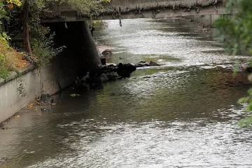 Намериха труп във Владайската река