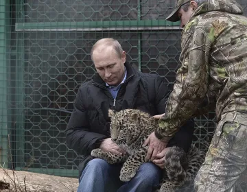 Путин влезе в клетка на леопард