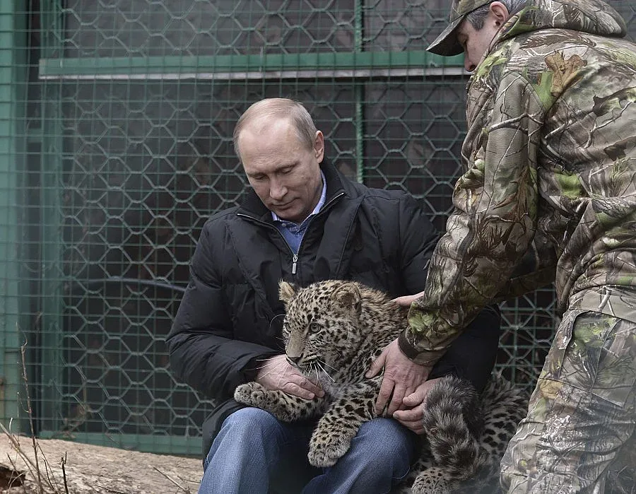 Путин влезе в клетка на леопард