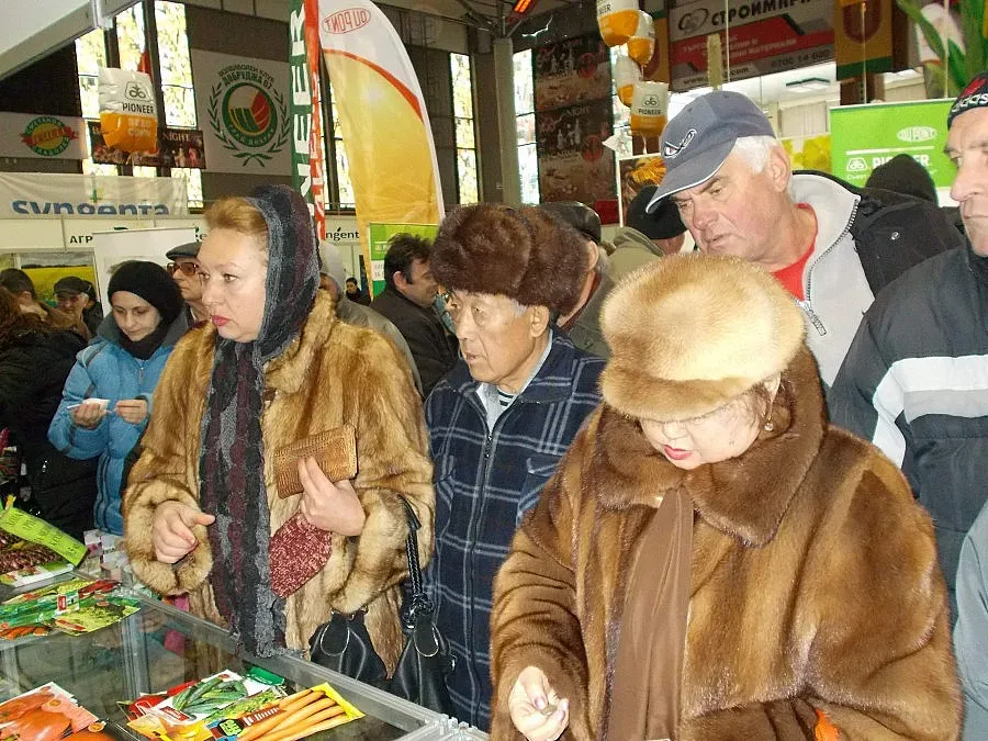 Хит сред семената за посев - зрелият боб
