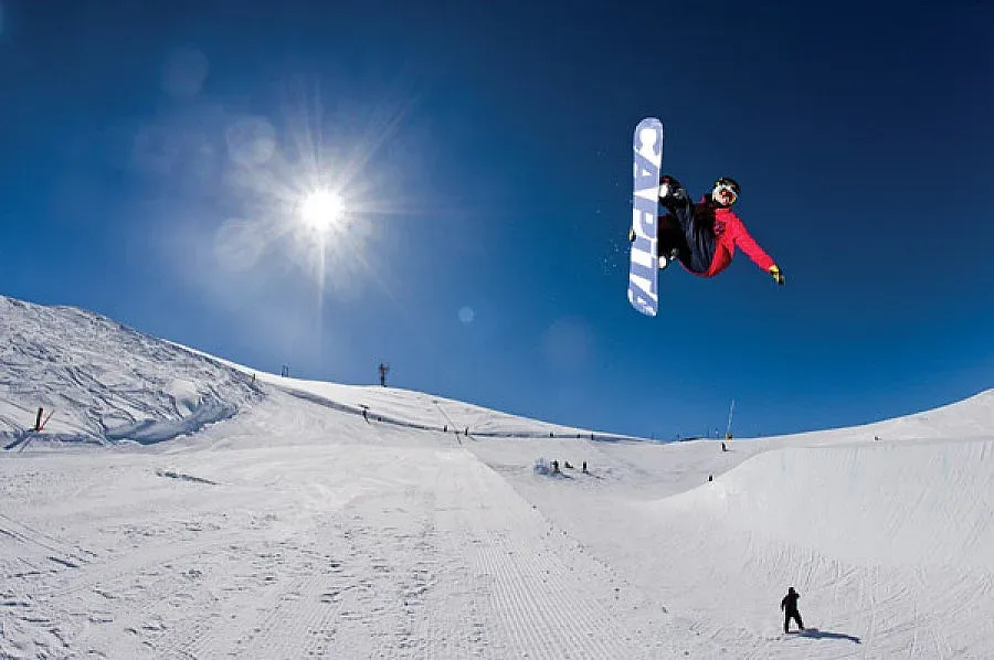 Американка продаде кравите да тренира