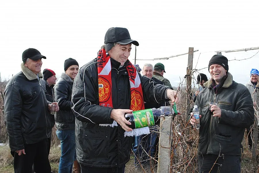 На лозето на шефа ГЕРБ-ери поляха Трифон