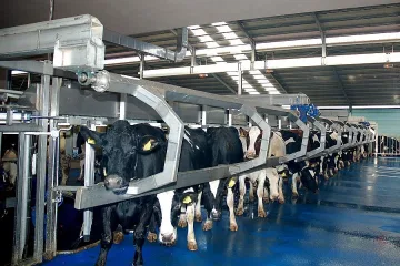 Запалиха фермата на Зоров