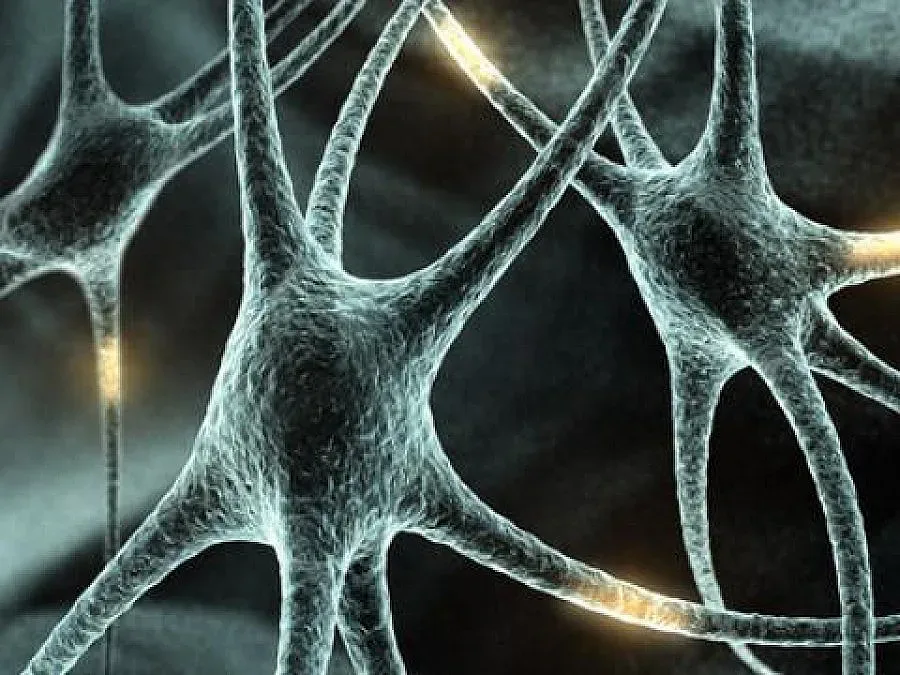 Учени връщат възрастни клетки в ембрионално състояние