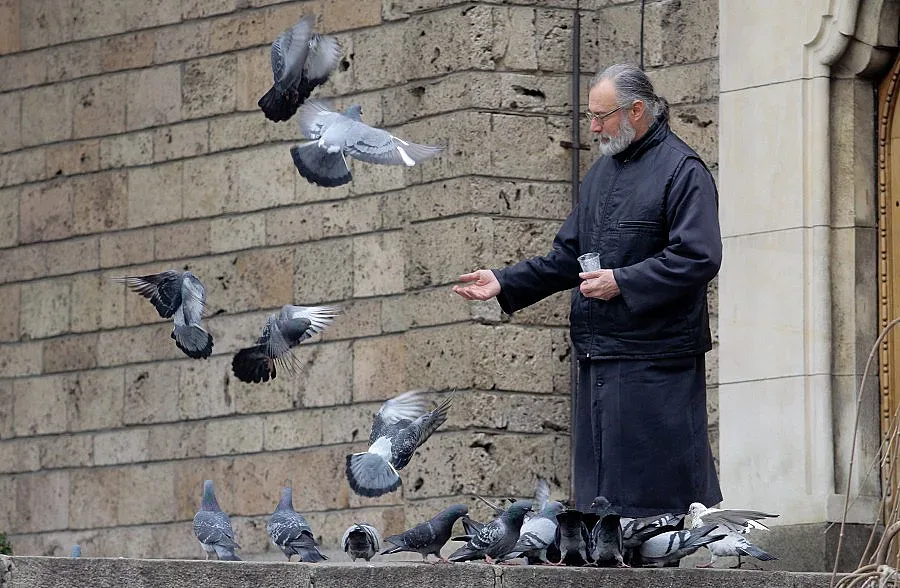 Богословски факултети и академии честват своя празник