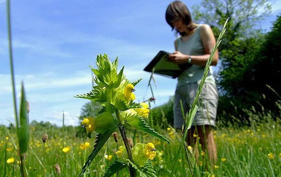 Създават паралелки по агроекология и фризьорство в Кърджалийско
