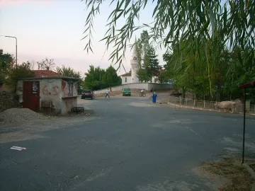 Починалият от кучешка тения 2 г. не бил посещавал джипито