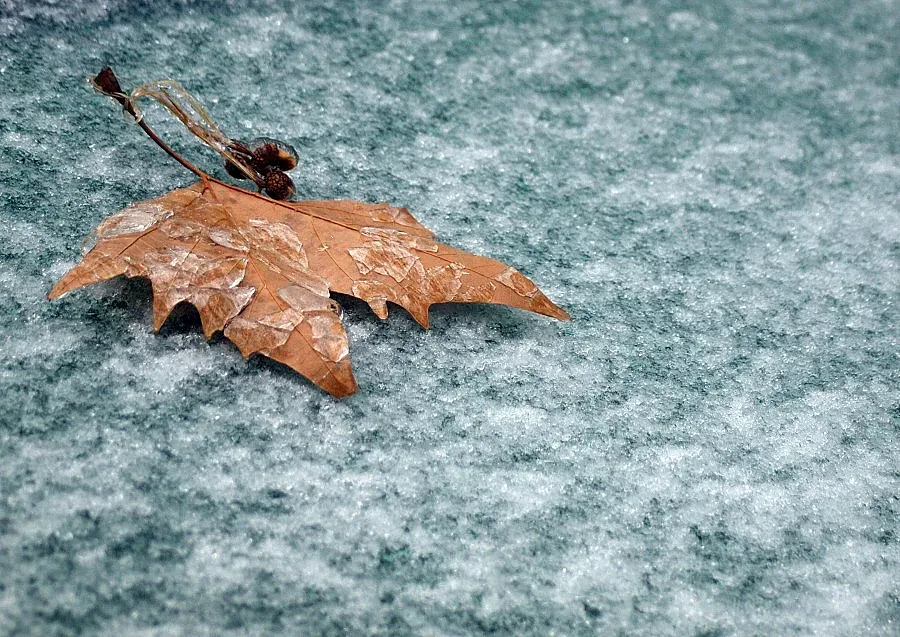 Мъж издъхна от премръзване, БТР спасяват родилки