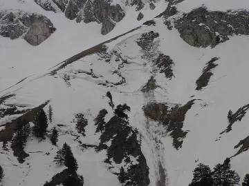 Спасиха двама англичани, заседнали в улей