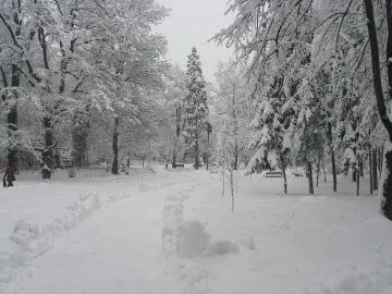 Варна е цялата снежна