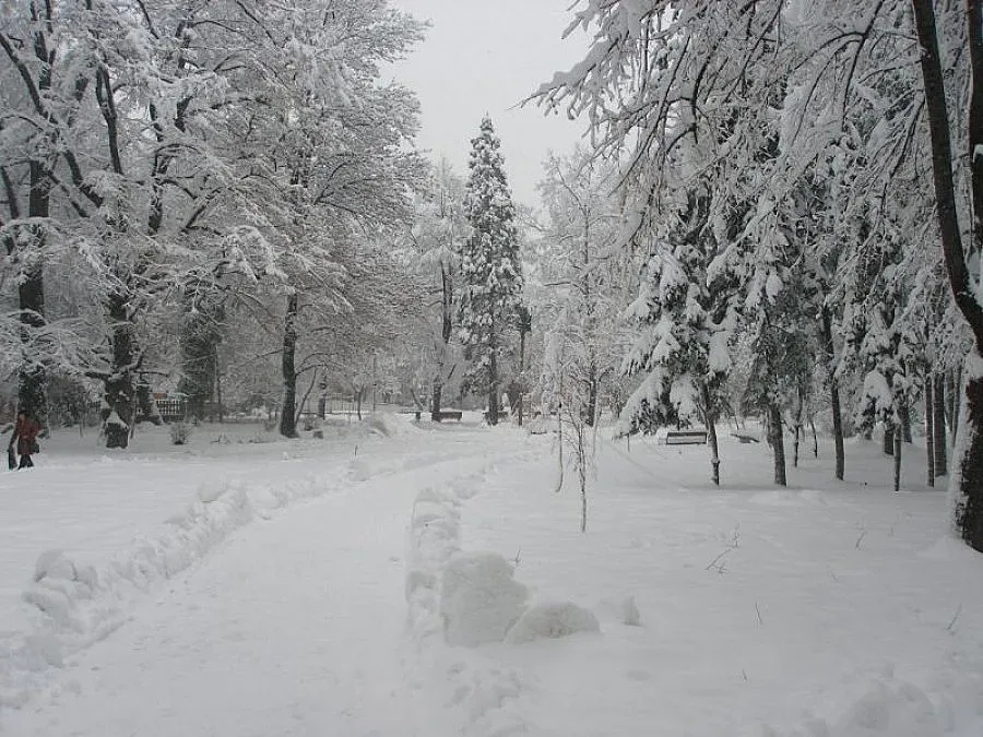 Варна е цялата снежна