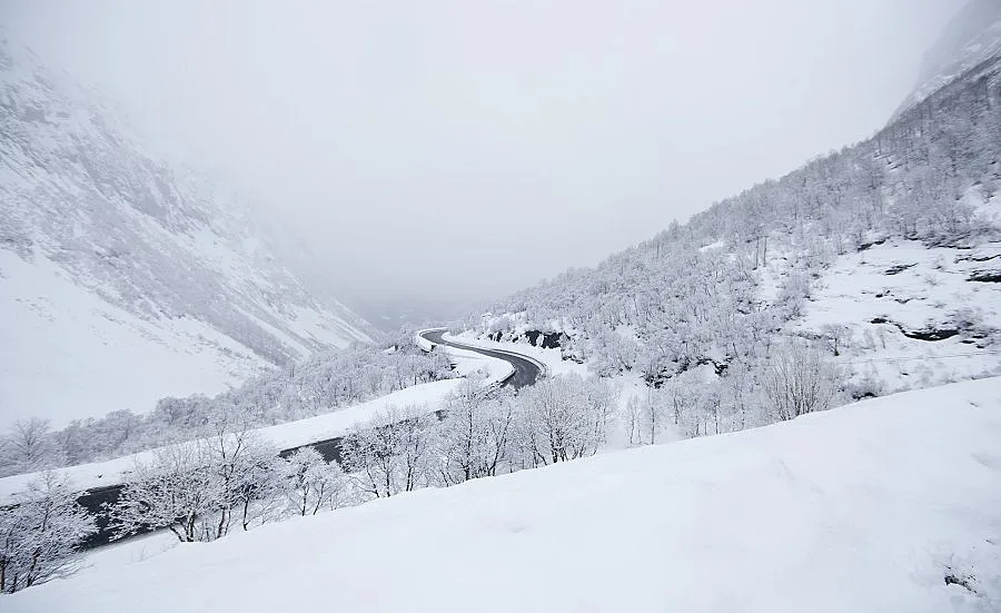 30 мръзнат в блокиран влак