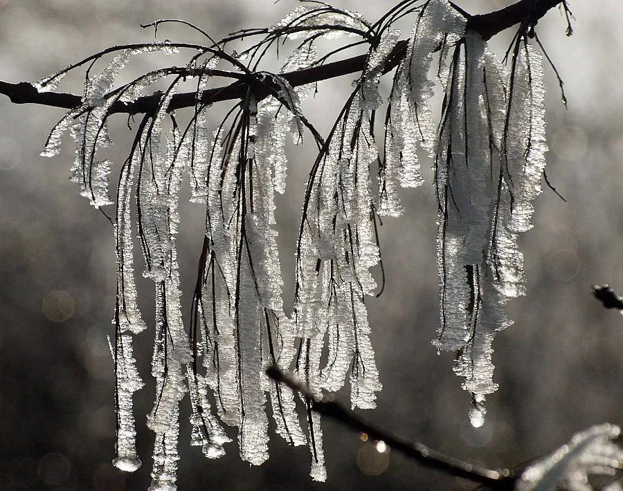 Леден дъжд замрази Варна
