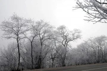 Жълт код за снеговалежи и поледици в 5 области на страната