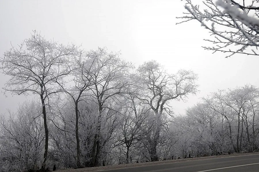 Жълт код за снеговалежи и поледици в 5 области на страната