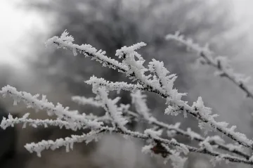 Студът чука на вратите ни