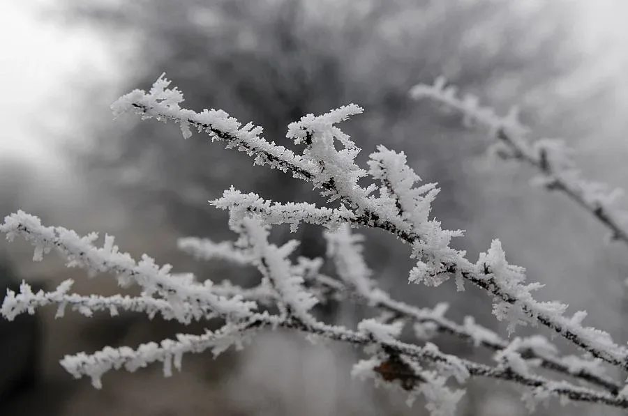 Студът чука на вратите ни