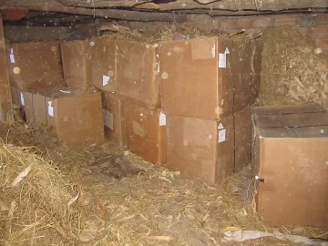 Полицаи вадят 2 тона тютюн от сено