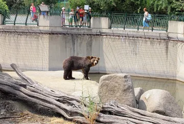 Бум на посетители в зоопарка край морето