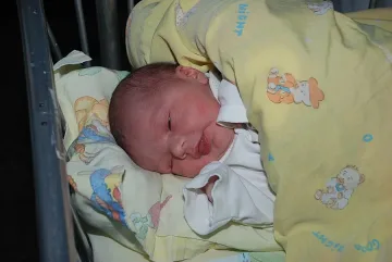 Голяма част от децата на Монтана се раждат в чужбина