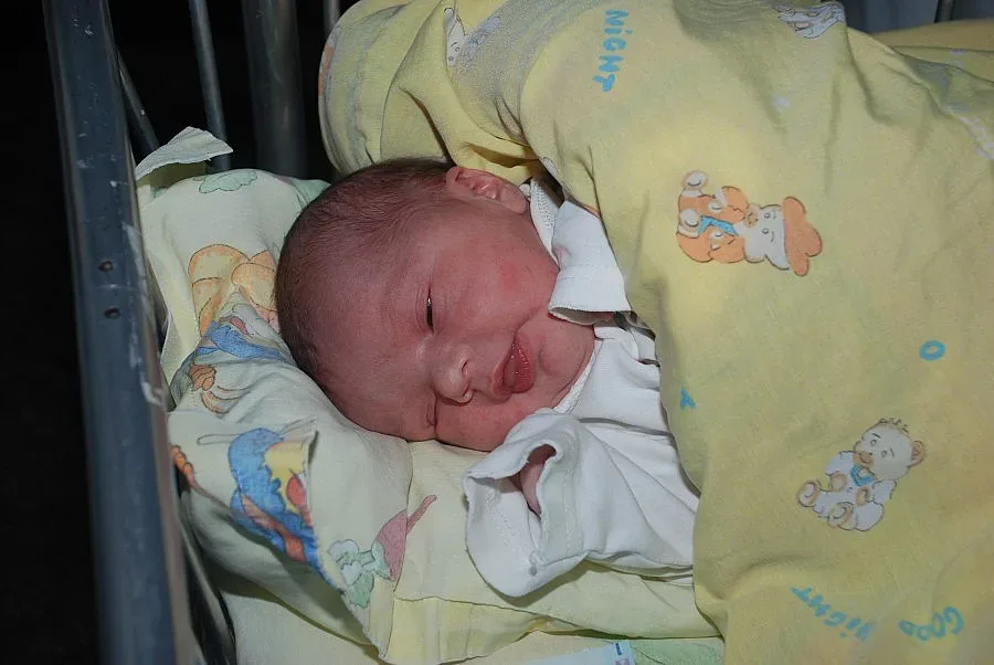 Голяма част от децата на Монтана се раждат в чужбина