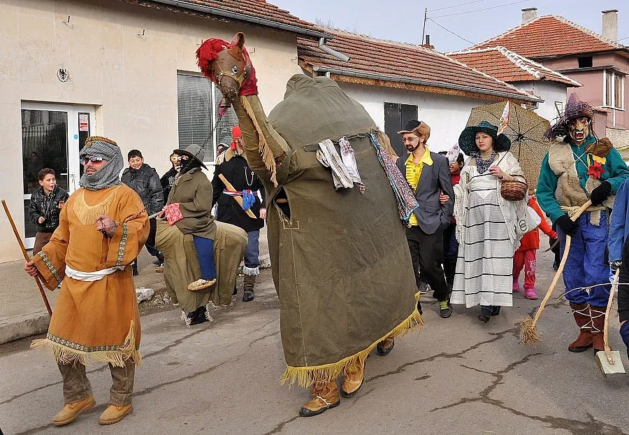 В Габровница гонят злото с камила