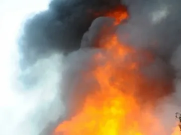 100 животни изгоряха при пожар