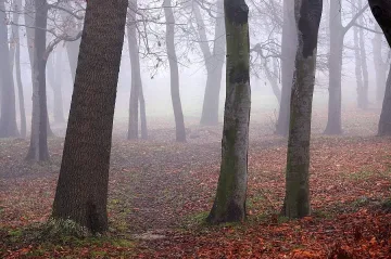Мъглите се завръщат – жълт код в 17 области
