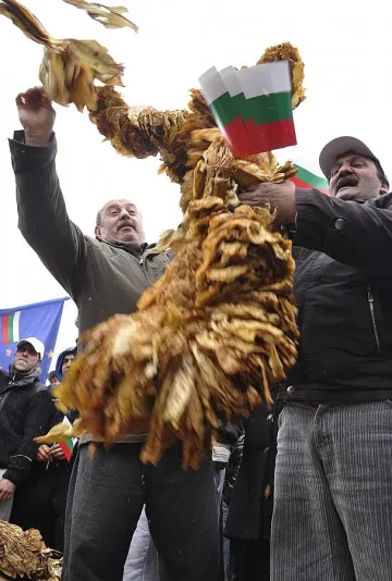 Тютюнджии от Пиринско се спасяват с гурбет в Гърция