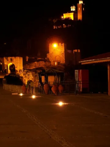 Студенти дават рамо на Търново за столица на културата