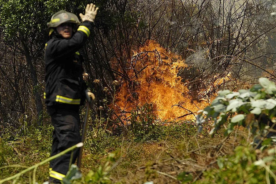 Горски пожар в Австралия изпепели къщи