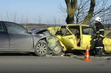 Софийско ауди ударило челно жигулата на жертвите